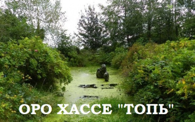 Оро Хассе - Топь - Читать книги онлайн | Слушать аудиокниги онлайн | Электронная библиотека books-lib.com