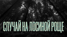 Новгородов Олег - Случай на Лосиной Роще - Читать книги онлайн | Слушать аудиокниги онлайн | Электронная библиотека books-lib.com