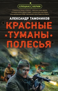 Красные туманы Полесья - Александр Тамоников - Читать книги онлайн | Слушать аудиокниги онлайн | Электронная библиотека books-lib.com