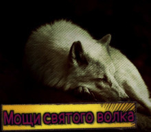 Немец Евгений - Мощи святого волка - Читать книги онлайн | Слушать аудиокниги онлайн | Электронная библиотека books-lib.com