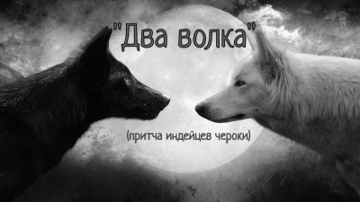 Два волка (притча индейцев чероки) - Читать книги онлайн | Слушать аудиокниги онлайн | Электронная библиотека books-lib.com