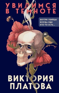 Увидимся в темноте - Виктория Платова - Читать книги онлайн | Слушать аудиокниги онлайн | Электронная библиотека books-lib.com