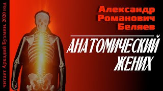 Беляев Александр - Анатомический жених - Читать книги онлайн | Слушать аудиокниги онлайн | Электронная библиотека books-lib.com