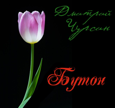 Чурсин Дмитрий - Бутон - Читать книги онлайн | Слушать аудиокниги онлайн | Электронная библиотека books-lib.com