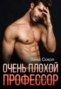 Очень плохой профессор - Елена Сокол - Читать книги онлайн | Слушать аудиокниги онлайн | Электронная библиотека books-lib.com