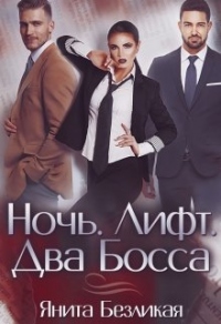 Ночь. Лифт. Два Босса - Янита Безликая - Читать книги онлайн | Слушать аудиокниги онлайн | Электронная библиотека books-lib.com