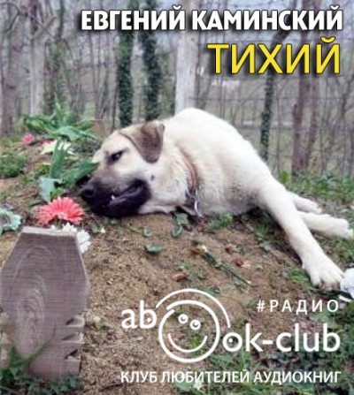 Каминский Евгений - Тихий - Читать книги онлайн | Слушать аудиокниги онлайн | Электронная библиотека books-lib.com