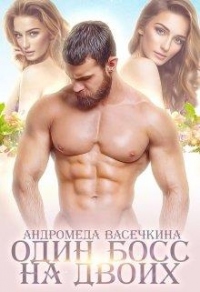 Один босс на двоих - Андромеда Васечкина - Читать книги онлайн | Слушать аудиокниги онлайн | Электронная библиотека books-lib.com