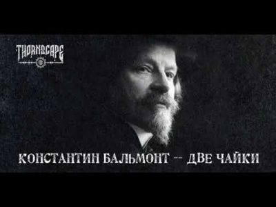 Бальмонт Константин - Две чайки - Читать книги онлайн | Слушать аудиокниги онлайн | Электронная библиотека books-lib.com