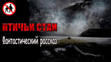 Чёрный Роман - Птичьи стаи - Читать книги онлайн | Слушать аудиокниги онлайн | Электронная библиотека books-lib.com