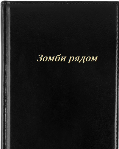 Кайряк Владимир - Зомби рядом - Читать книги онлайн | Слушать аудиокниги онлайн | Электронная библиотека books-lib.com
