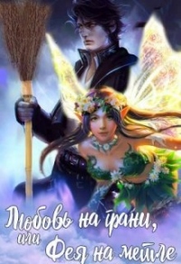 Любовь на грани, или Фея на метле - Лилия Демидова - Читать книги онлайн | Слушать аудиокниги онлайн | Электронная библиотека books-lib.com