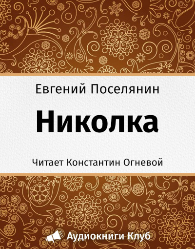 Поселянин Евгений - Николка - Читать книги онлайн | Слушать аудиокниги онлайн | Электронная библиотека books-lib.com