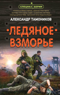 Ледяное взморье - Александр Тамоников - Читать книги онлайн | Слушать аудиокниги онлайн | Электронная библиотека books-lib.com