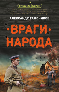 Враги народа - Александр Тамоников - Читать книги онлайн | Слушать аудиокниги онлайн | Электронная библиотека books-lib.com