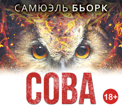 Сова - Читать книги онлайн | Слушать аудиокниги онлайн | Электронная библиотека books-lib.com
