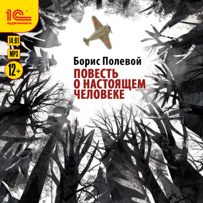 Повесть о настоящем человеке - Читать книги онлайн | Слушать аудиокниги онлайн | Электронная библиотека books-lib.com
