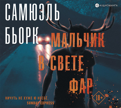 Мальчик в свете фар - Читать книги онлайн | Слушать аудиокниги онлайн | Электронная библиотека books-lib.com