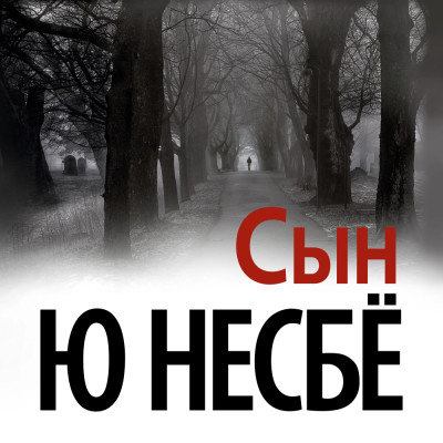 Сын - Читать книги онлайн | Слушать аудиокниги онлайн | Электронная библиотека books-lib.com