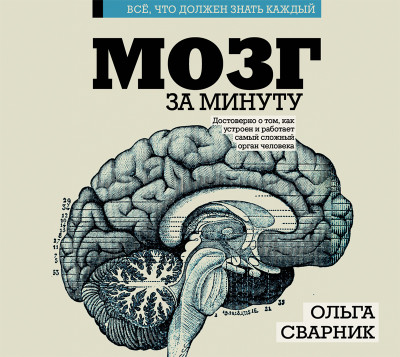 Мозг за минуту - Читать книги онлайн | Слушать аудиокниги онлайн | Электронная библиотека books-lib.com