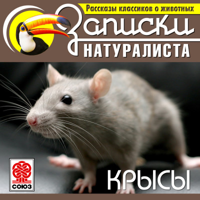 Рассказы классиков о животных. Крысы - Читать книги онлайн | Слушать аудиокниги онлайн | Электронная библиотека books-lib.com