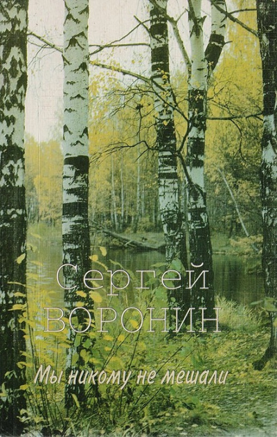 Воронин Сергей - Мы никому не мешали - Читать книги онлайн | Слушать аудиокниги онлайн | Электронная библиотека books-lib.com