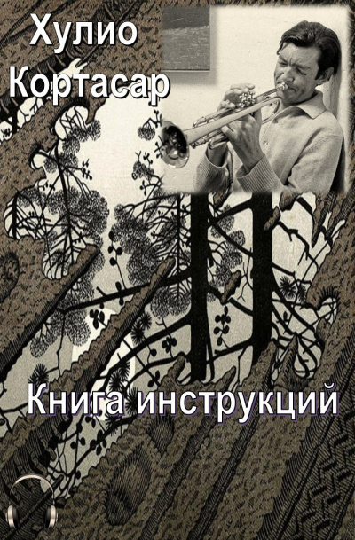 Кортасар Хулио - Книга инструкций - Читать книги онлайн | Слушать аудиокниги онлайн | Электронная библиотека books-lib.com