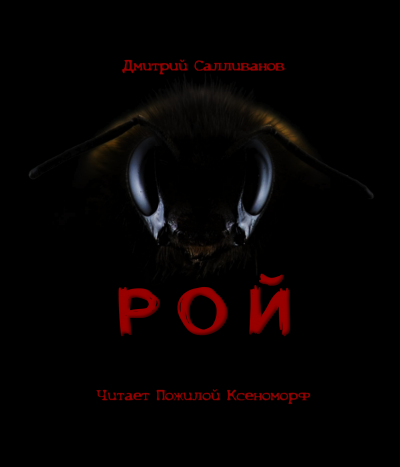 Салливанов Дмитрий - Рой - Читать книги онлайн | Слушать аудиокниги онлайн | Электронная библиотека books-lib.com