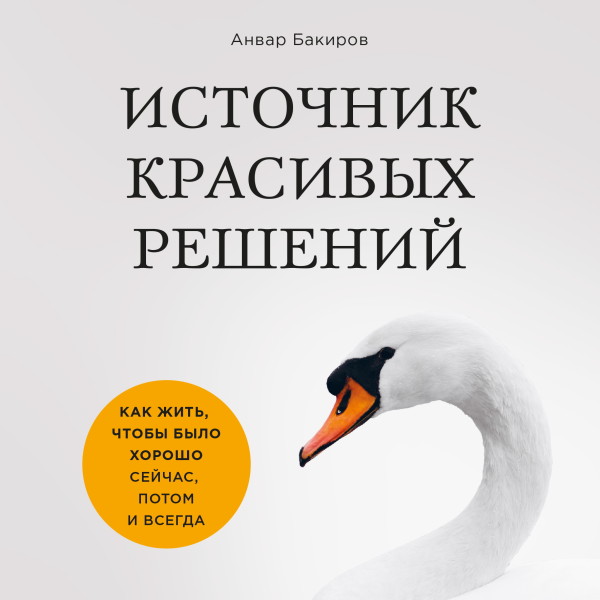 Источник красивых решений. Как жить, чтобы было хорошо сейчас, потом и всегда - Читать книги онлайн | Слушать аудиокниги онлайн | Электронная библиотека books-lib.com