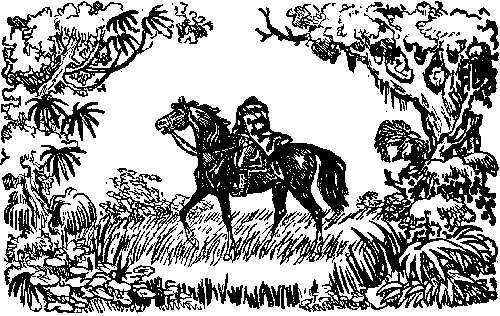 Мароны. Всадник без головы Мароны. Всадник без головы