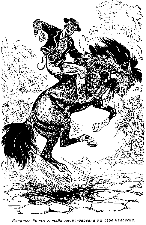 Мароны. Всадник без головы Мароны. Всадник без головы