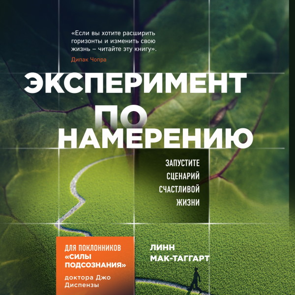 Эксперимент по намерению. Запустите сценарий счастливой жизни - Читать книги онлайн | Слушать аудиокниги онлайн | Электронная библиотека books-lib.com