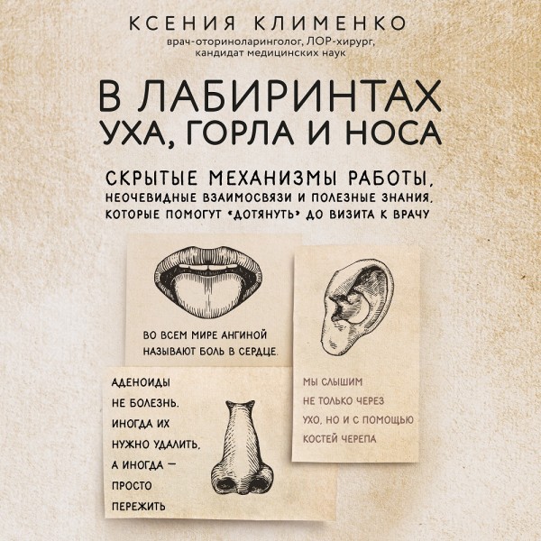 В лабиринтах уха, горла и носа. Скрытые механизмы работы, неочевидные взаимосвязи и полезные знания, которые помогут "дотянуть" до визита к врачу - Читать книги онлайн | Слушать аудиокниги онлайн | Электронная библиотека books-lib.com