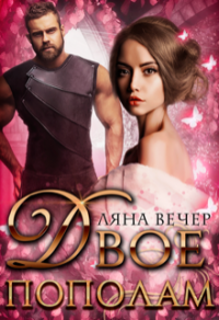 Двое пополам - Ляна Вечер - Читать книги онлайн | Слушать аудиокниги онлайн | Электронная библиотека books-lib.com