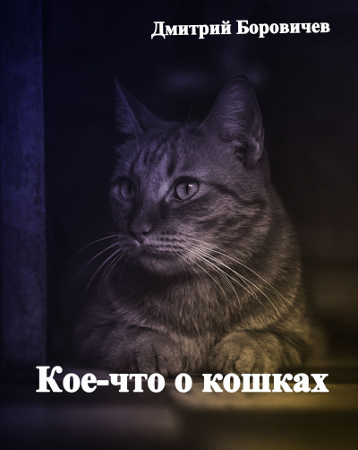 Боровичёв Дмитрий - Кое-что о кошках - Читать книги онлайн | Слушать аудиокниги онлайн | Электронная библиотека books-lib.com
