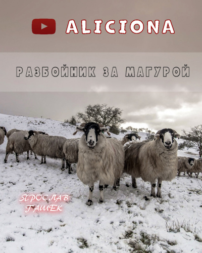 Гашек Ярослав - Разбойник за Магурой - Читать книги онлайн | Слушать аудиокниги онлайн | Электронная библиотека books-lib.com