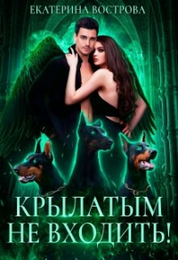 Крылатым не входить! - Екатерина Вострова - Читать книги онлайн | Слушать аудиокниги онлайн | Электронная библиотека books-lib.com