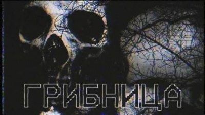 Грибница - Читать книги онлайн | Слушать аудиокниги онлайн | Электронная библиотека books-lib.com