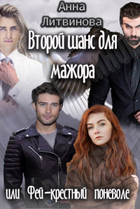 Второй шанс для мажора или Фей-крестный поневоле - Анна Литвинова - Читать книги онлайн | Слушать аудиокниги онлайн | Электронная библиотека books-lib.com