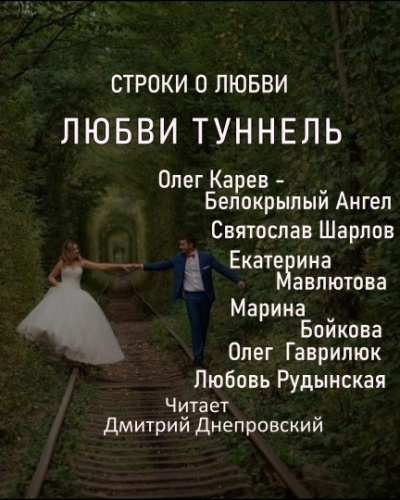 Любви туннель - Читать книги онлайн | Слушать аудиокниги онлайн | Электронная библиотека books-lib.com
