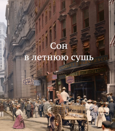 О. Генри - Сон в летнюю сушь - Читать книги онлайн | Слушать аудиокниги онлайн | Электронная библиотека books-lib.com