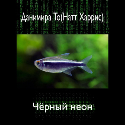 Данимира То (Натт Харрис) - Чёрный неон - Читать книги онлайн | Слушать аудиокниги онлайн | Электронная библиотека books-lib.com