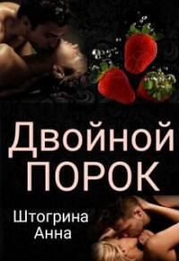 Двойной порок - Анна Штогрина - Читать книги онлайн | Слушать аудиокниги онлайн | Электронная библиотека books-lib.com