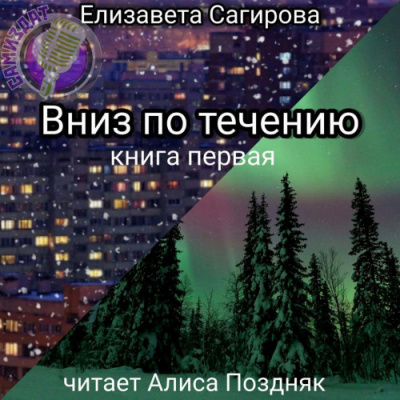 Сагирова Елизавета - Вниз по течению. Книга 1 - Читать книги онлайн | Слушать аудиокниги онлайн | Электронная библиотека books-lib.com
