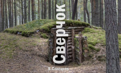 Слесарев Вячеслав - Сверчок - Читать книги онлайн | Слушать аудиокниги онлайн | Электронная библиотека books-lib.com