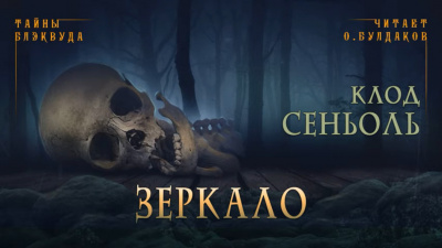 Сеньоль Клод - Зеркало - Читать книги онлайн | Слушать аудиокниги онлайн | Электронная библиотека books-lib.com