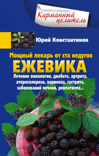 Мощный лекарь от ста недугов. Ежевика. Лечение онкологии, диабета, артрита, атеросклероза, варикоза, гастрита, заболеваний печени, ревматизма… - Юрий Константинов - Читать книги онлайн | Слушать аудиокниги онлайн | Электронная библиотека books-lib.com