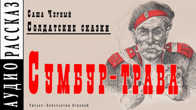 Черный Саша - Сумбур-трава - Читать книги онлайн | Слушать аудиокниги онлайн | Электронная библиотека books-lib.com