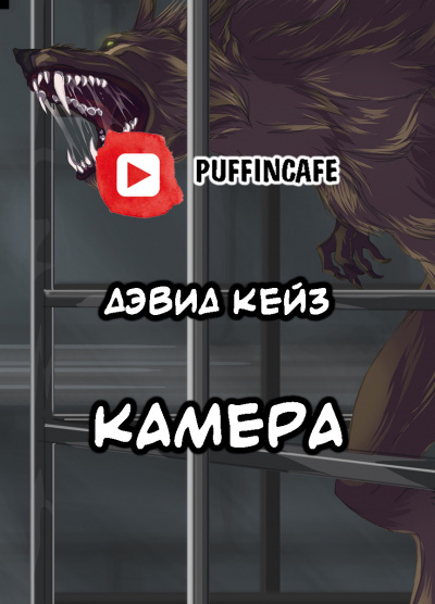 Кейз Дэвид - Камера - Читать книги онлайн | Слушать аудиокниги онлайн | Электронная библиотека books-lib.com