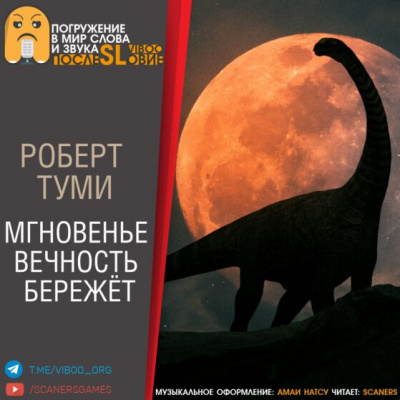 Туми Роберт - Мгновенье вечность бережёт - Читать книги онлайн | Слушать аудиокниги онлайн | Электронная библиотека books-lib.com